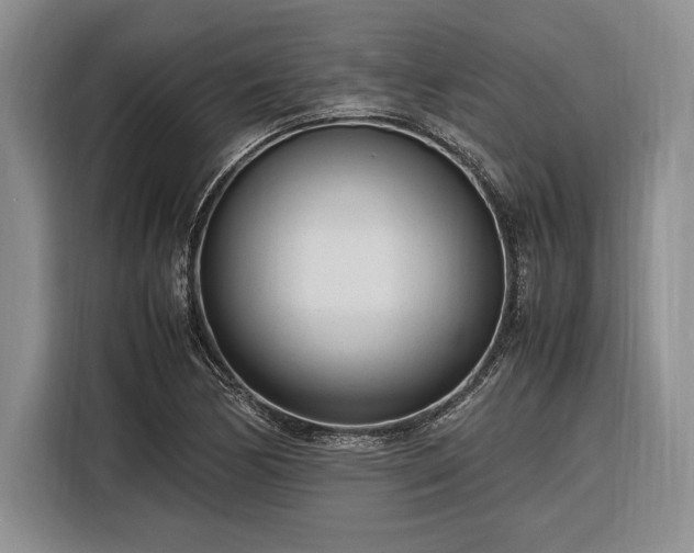 X0000116271170200912071036