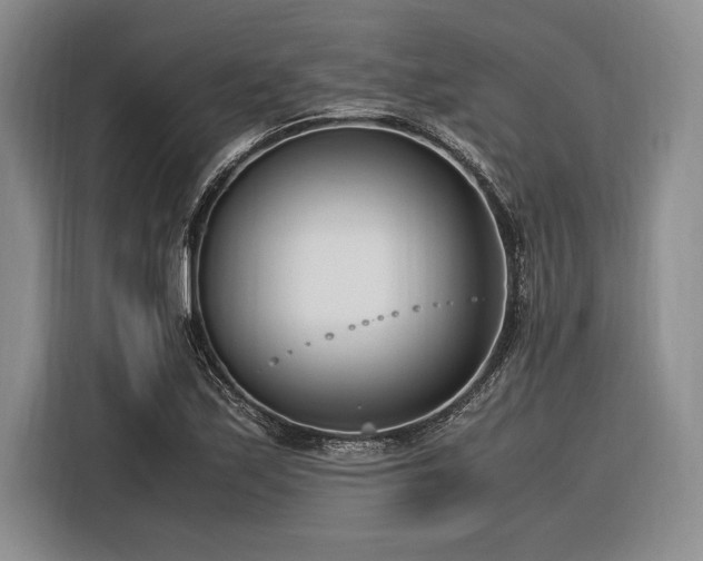 X0000116271171200912071036