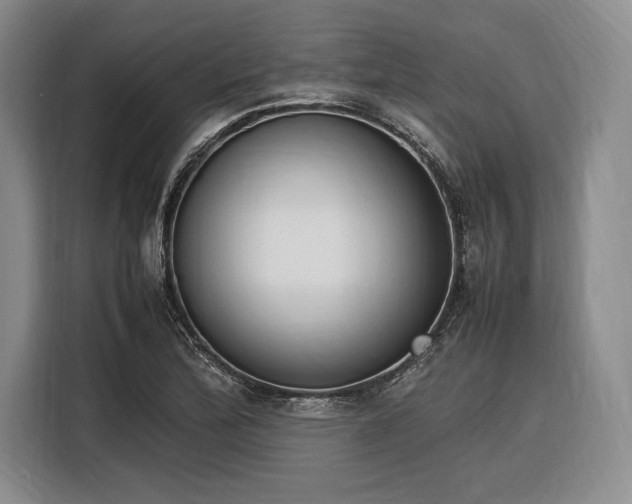 X0000116271172200912071036