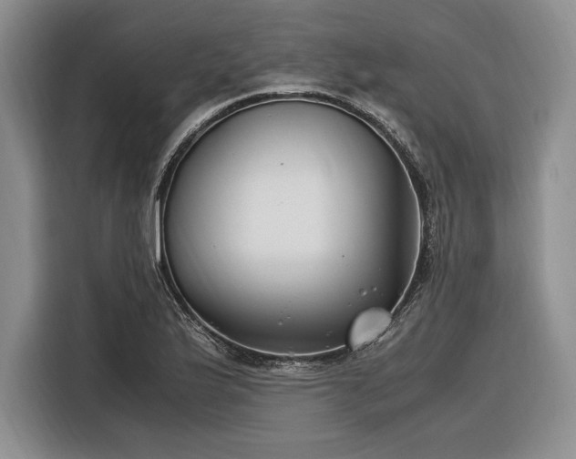 X0000116271175200912071036