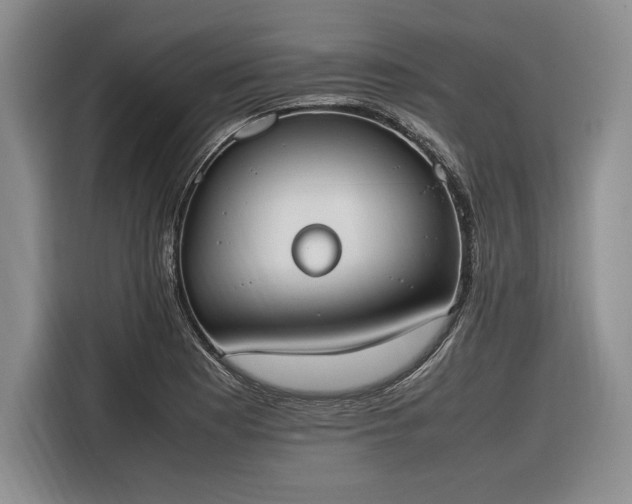 X0000116271177200912071036