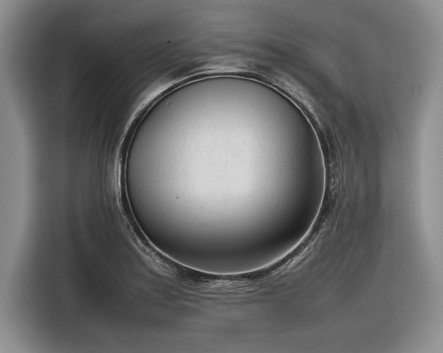 X0000116271179200912071036