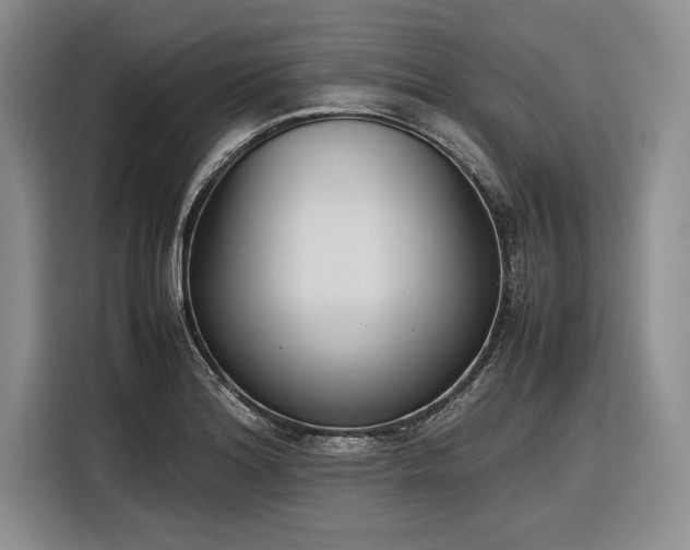 X0000116271180200912071036