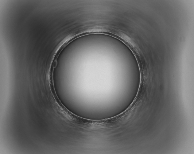 X0000116271181200912071036