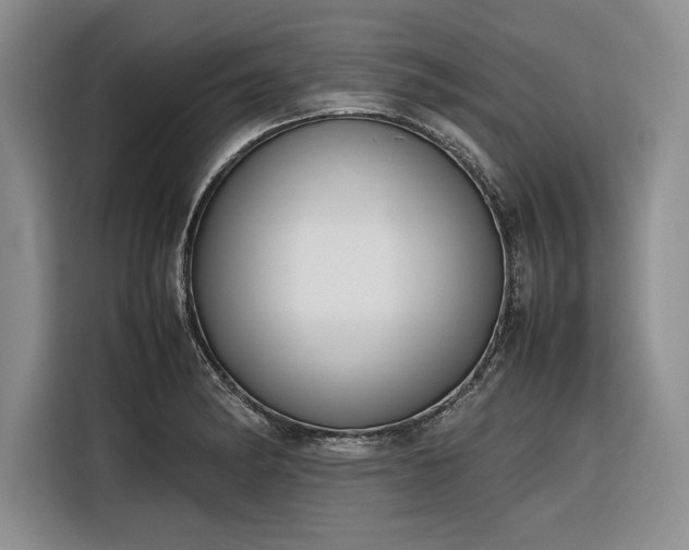 X0000116271182200912071036