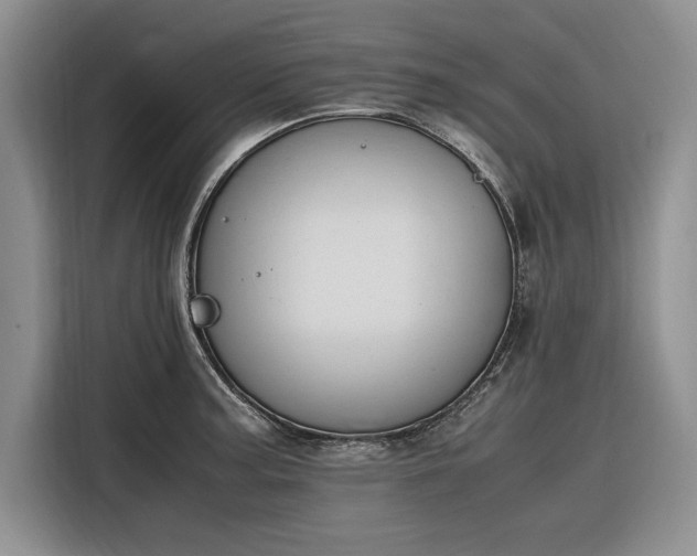 X0000116271187200912071036