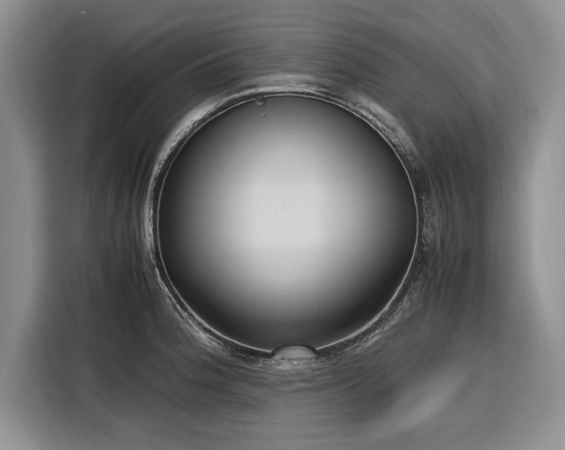 X0000116271188200912071036
