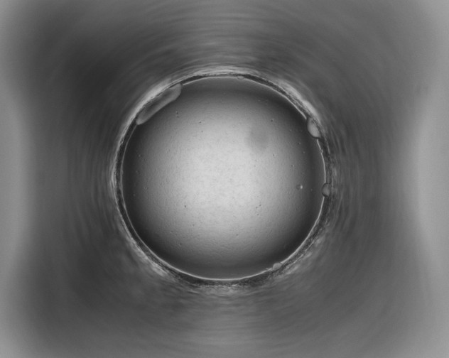 X0000116271189200912071036