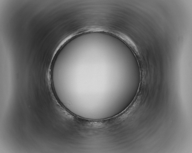 X0000116271190200912071036