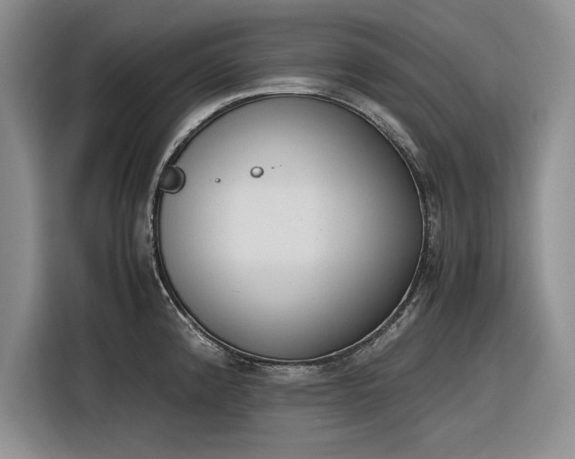 X0000116271192200912071036