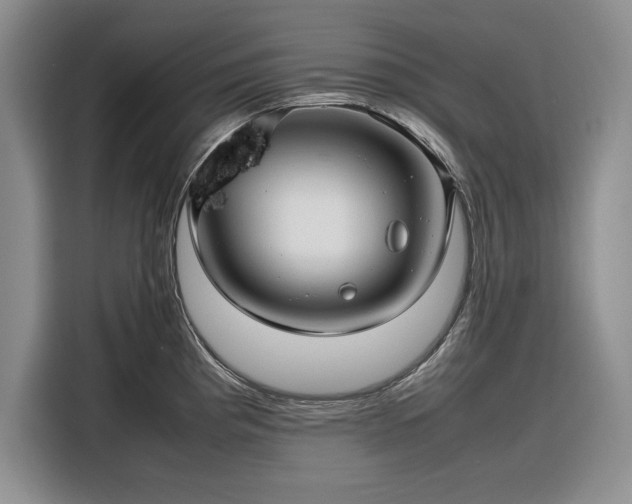 X0000116271193200912071036