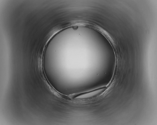 X0000116271194200912071036