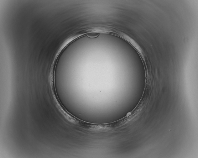 X0000116271195200912071036
