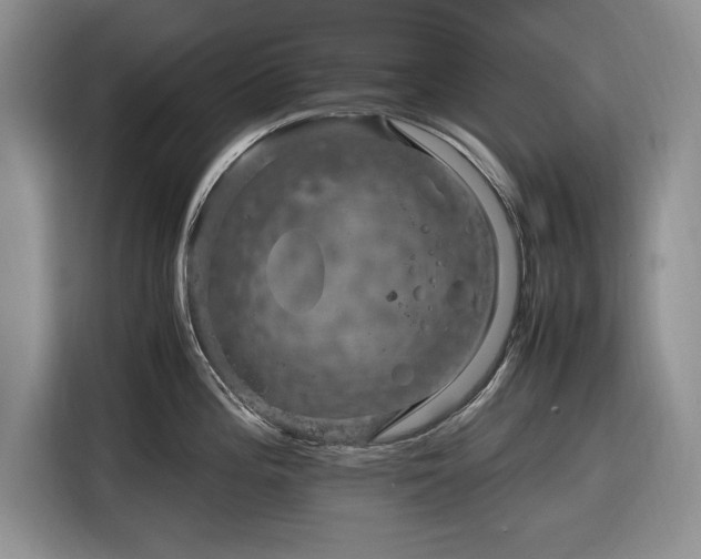 X0000116271196200912071036