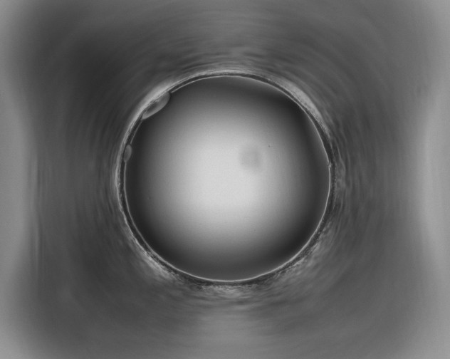 X0000116271197200912071036