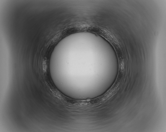 X0000116271204200912071035