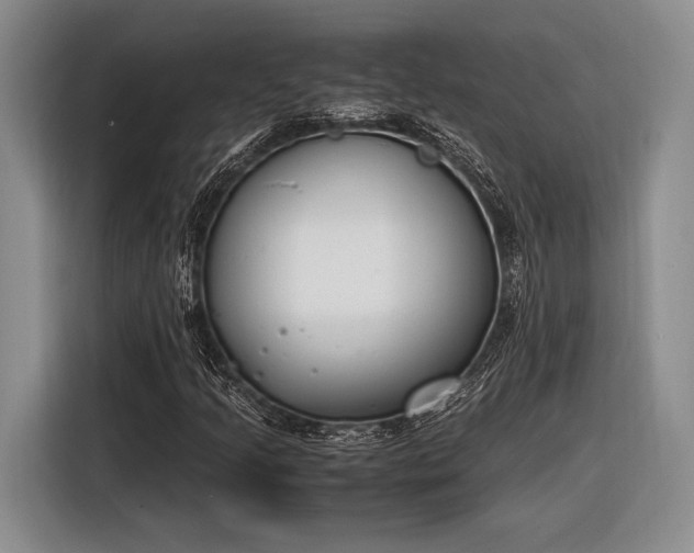 X0000116271205200912071035