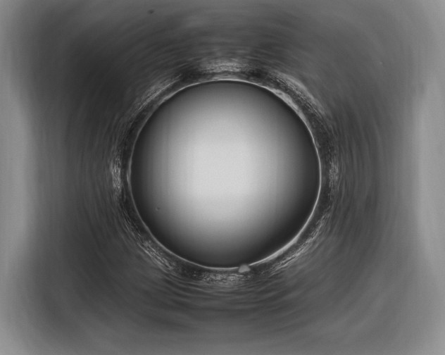 X0000116271209200912071035