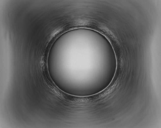 X0000116271210200912071035