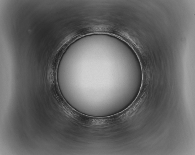 X0000116271211200912071035
