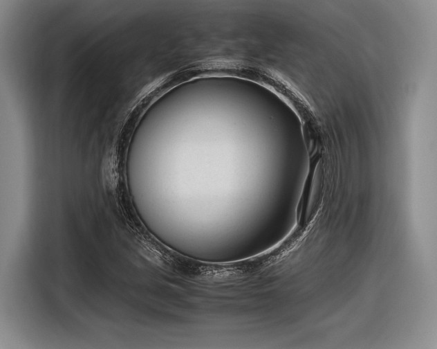 X0000116271213200912071035