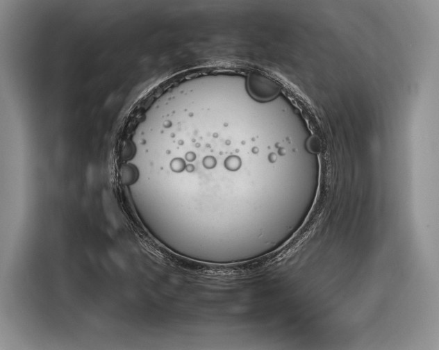 X0000116271215200912071035