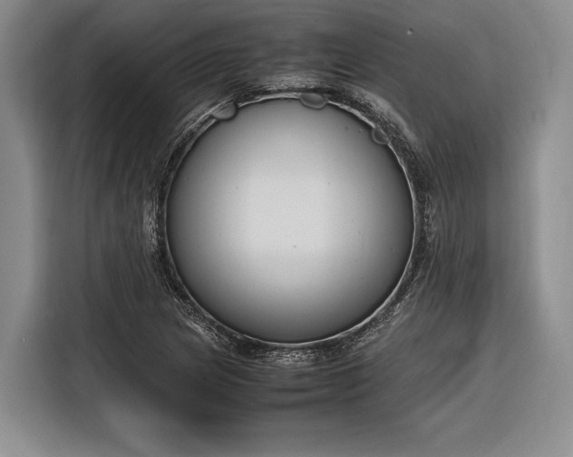 X0000116271217200912071035