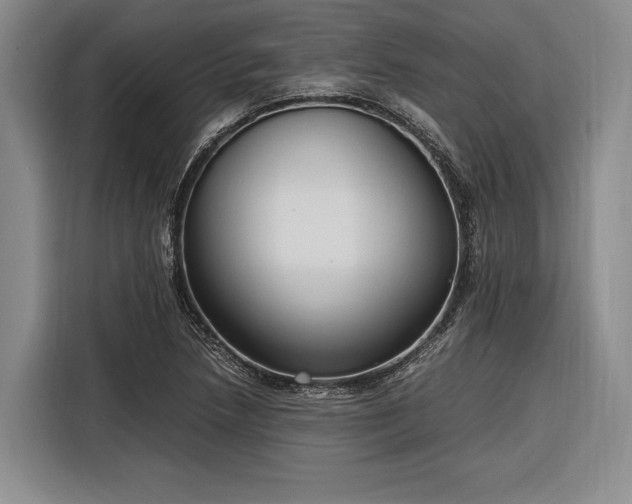 X0000116271218200912071036