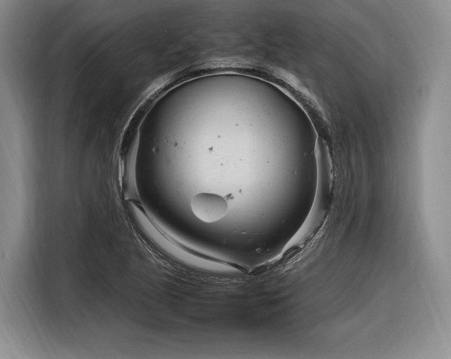 X0000116271221200912071036