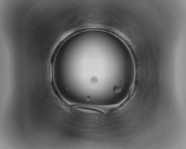 X0000116271223200912071036