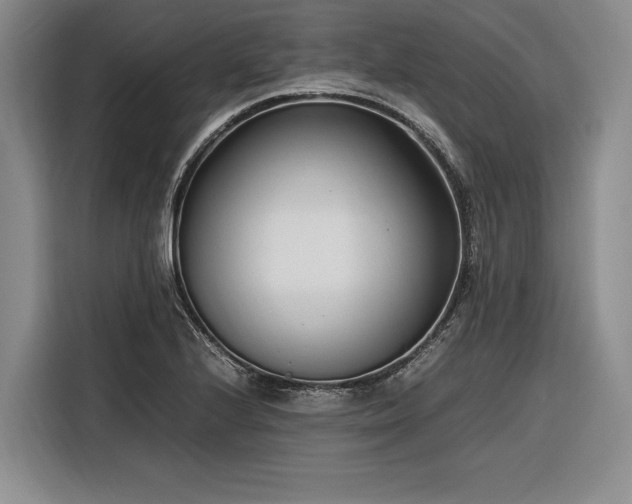 X0000116271224200912071036