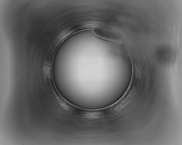 X0000116271225200912071036