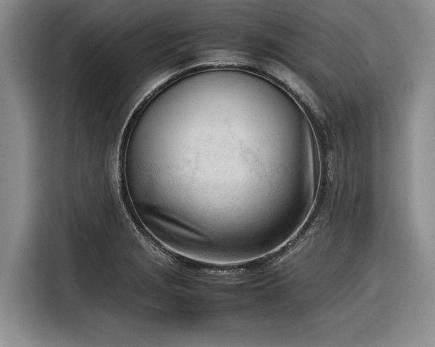 X0000116271229200912071036