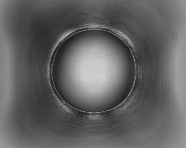 X0000116271231200912071036