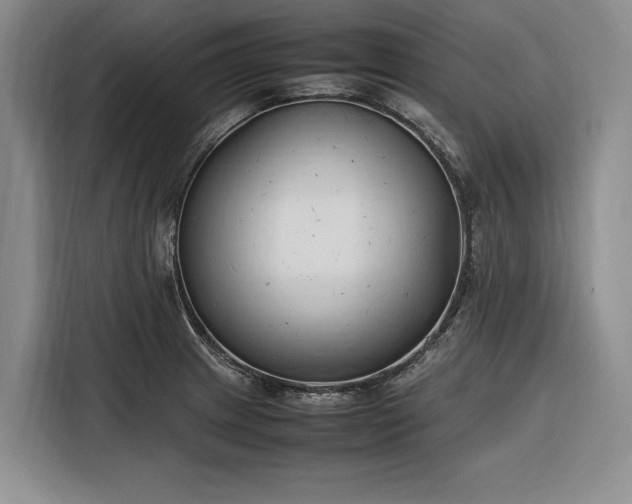 X0000116271233200912071036