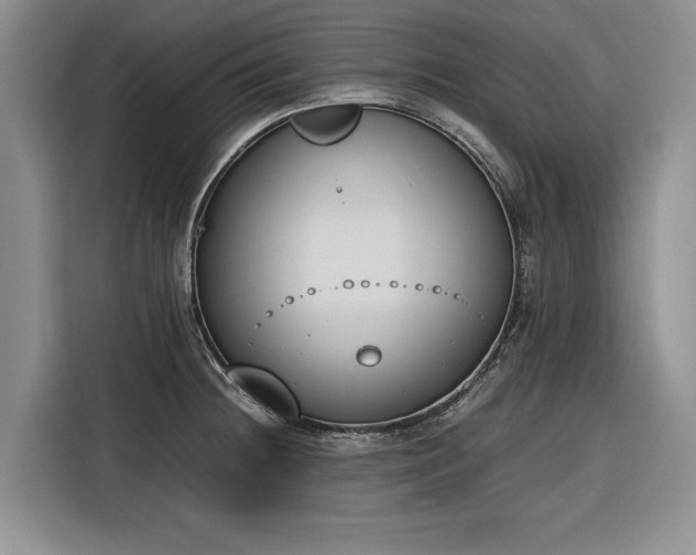X0000116271236200912071036