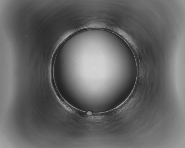 X0000116271237200912071036
