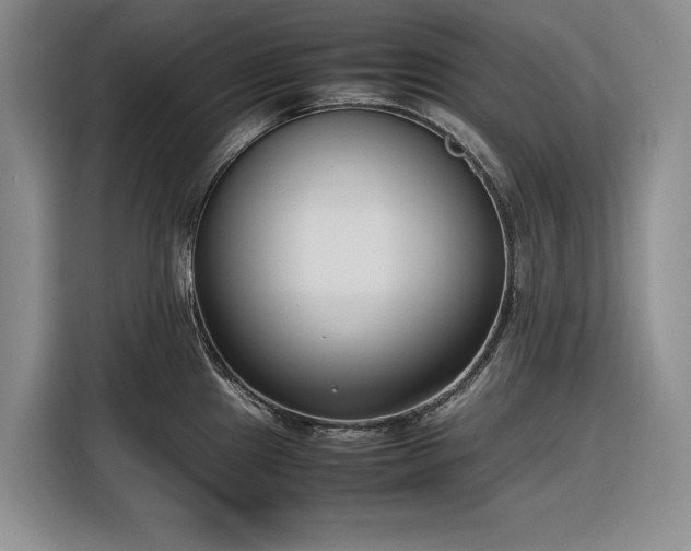 X0000116271241200912071036