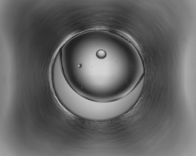 X0000116271243200912071036