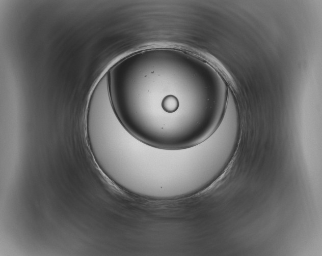 X0000116271244200912071036