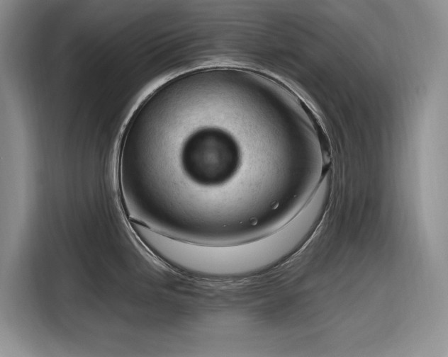 X0000116271246200912071036