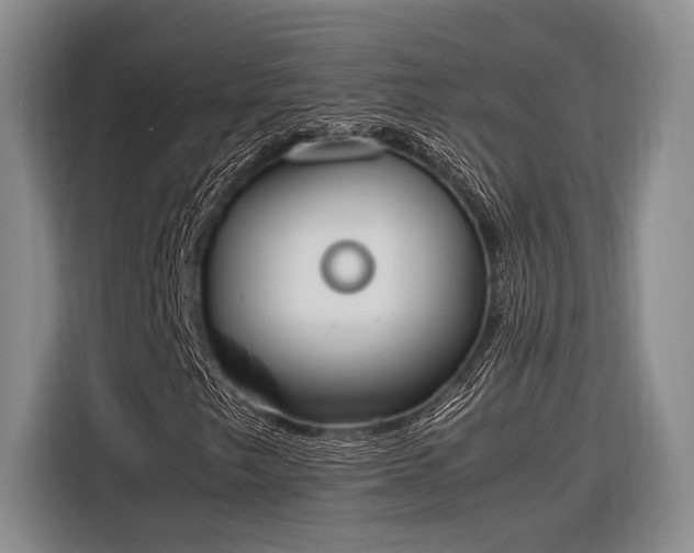 X0000116271249200912071035