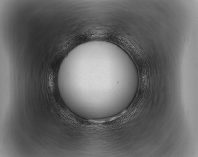 X0000116271250200912071035