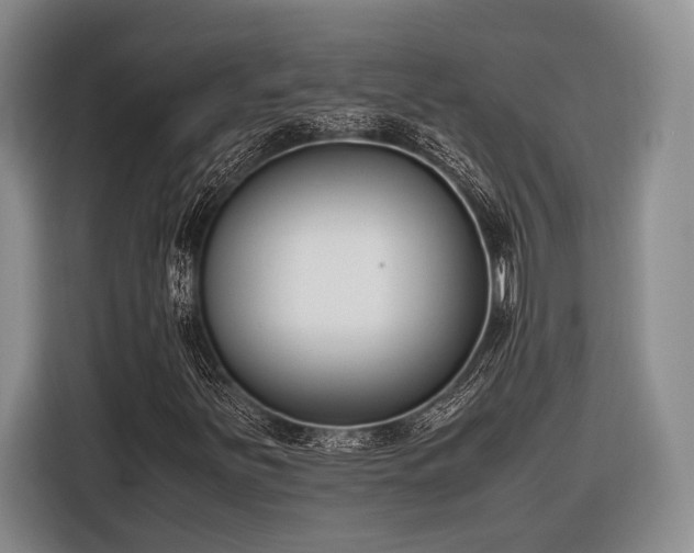 X0000116271251200912071035