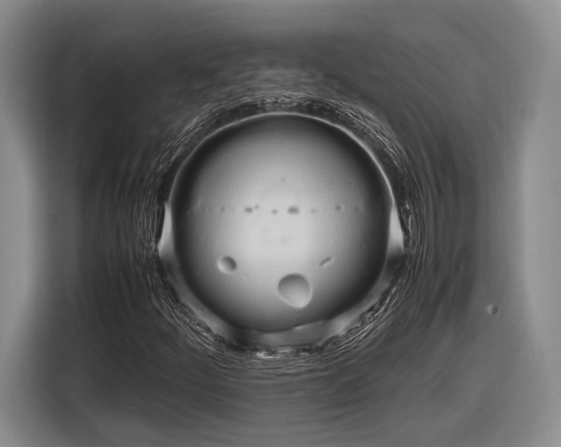 X0000116271252200912071035