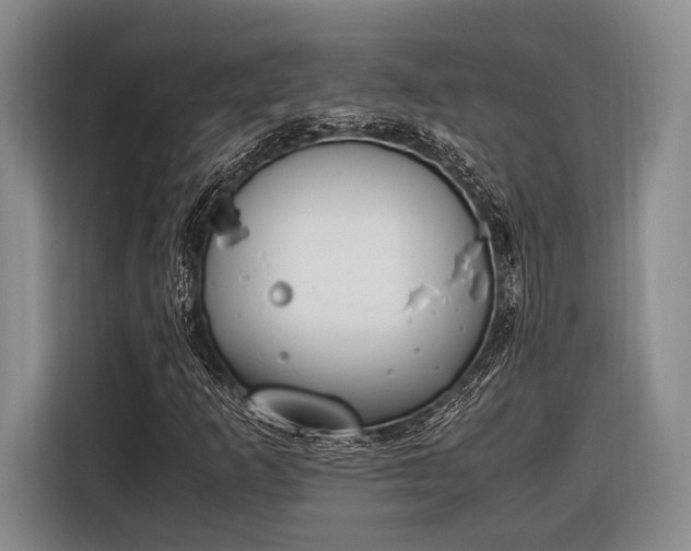 X0000116271253200912071035