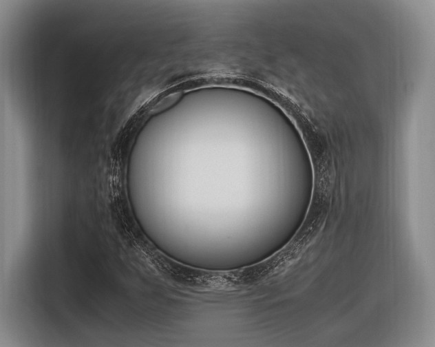 X0000116271255200912071035