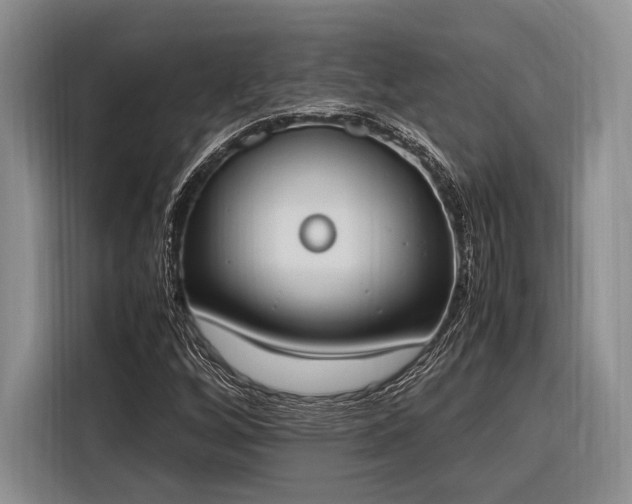 X0000116271256200912071035