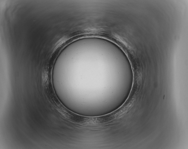 X0000116271259200912071035