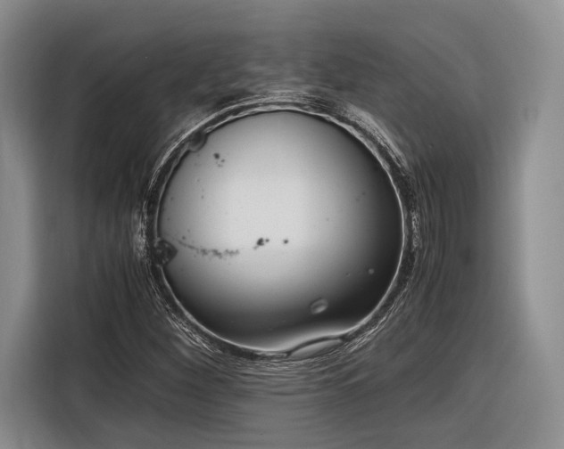 X0000116271260200912071035